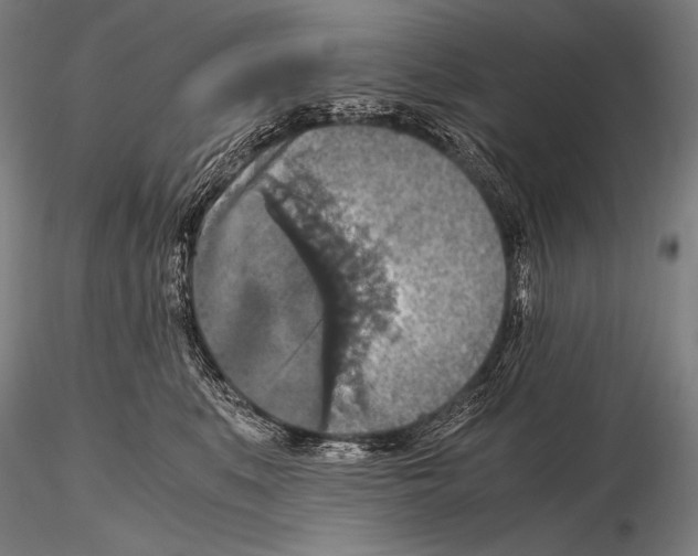 X0000115410519200912011343