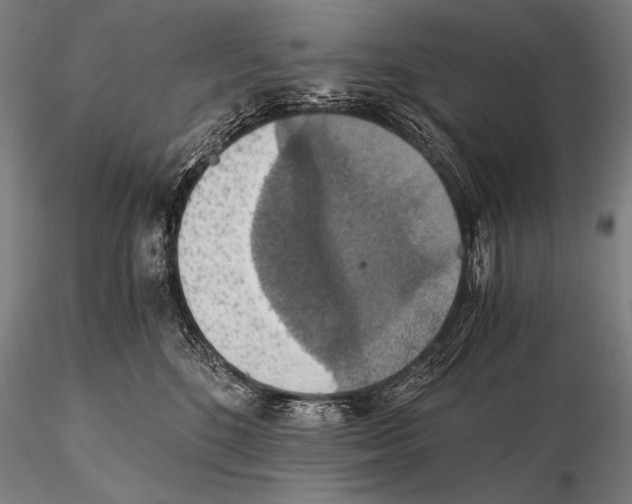 X0000115410520200912011343