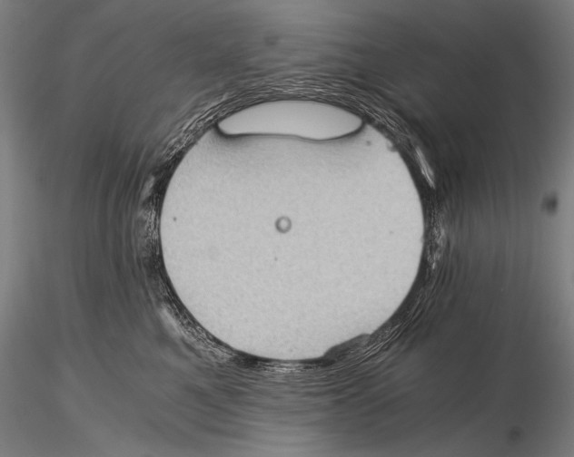 X0000115410521200912011343