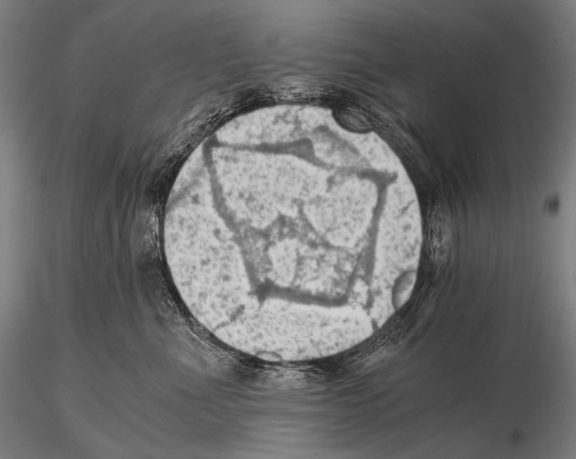 X0000115410523200912011343