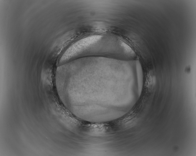 X0000115410524200912011343