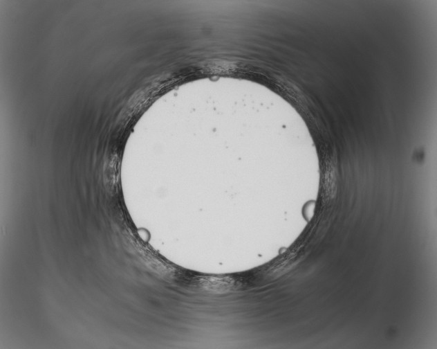 X0000115410525200912011343