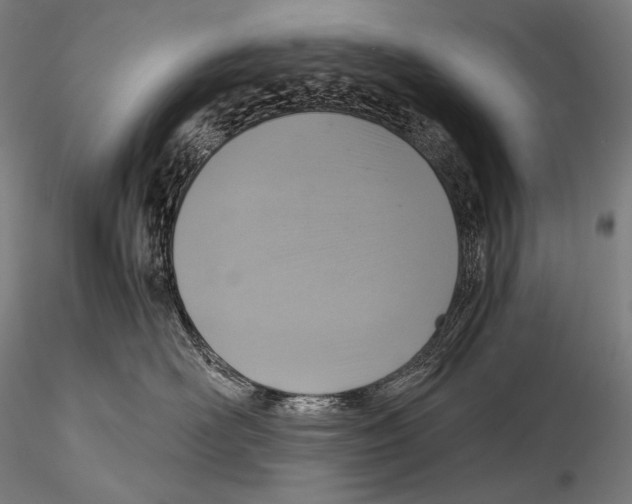 X0000115410526200912011343