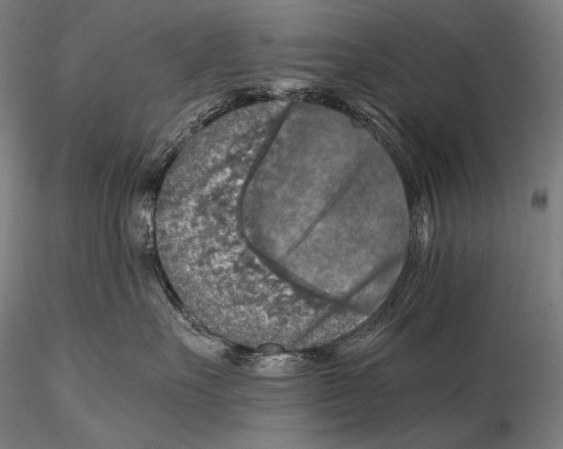 X0000115410527200912011343