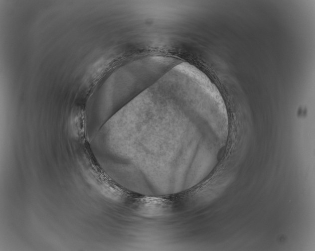 X0000115410528200912011343