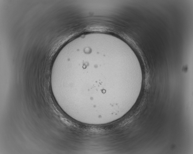 X0000115410529200912011342