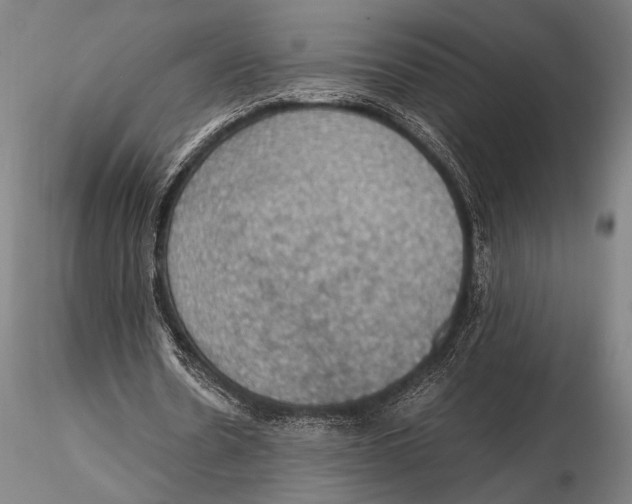 X0000115410530200912011342