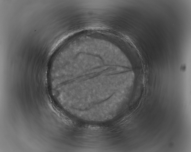 X0000115410531200912011342