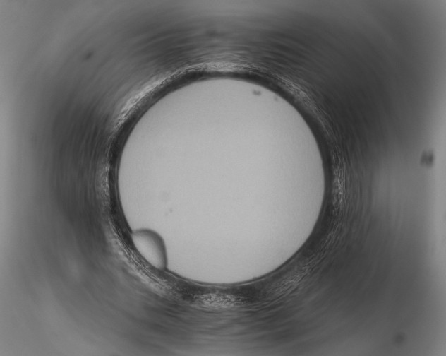 X0000115410535200912011342