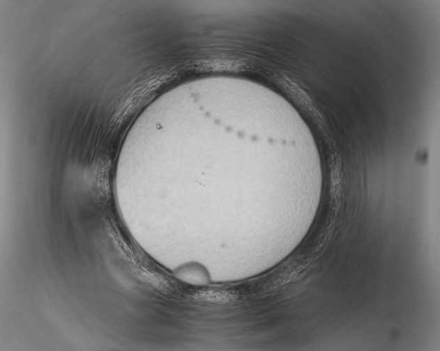 X0000115410537200912011342