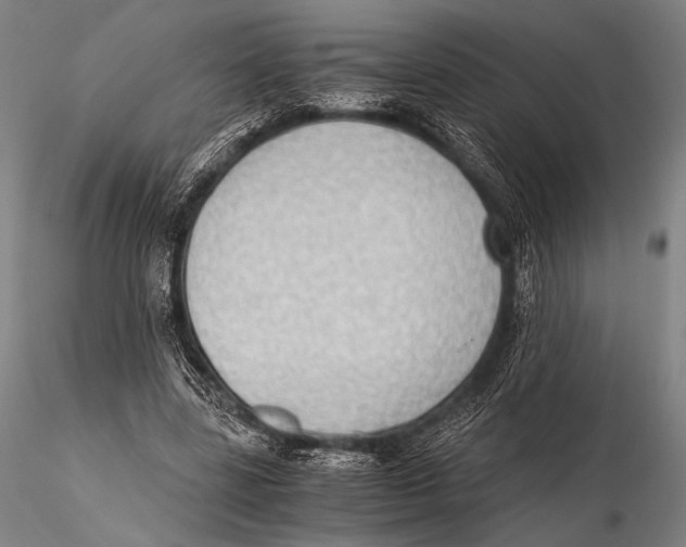 X0000115410539200912011342