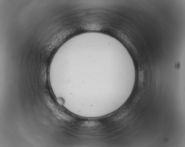 X0000115410541200912011342