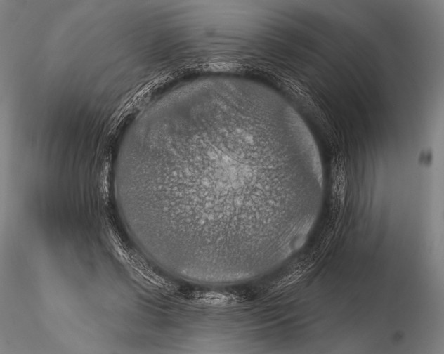 X0000115410542200912011342