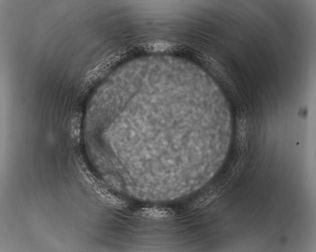 X0000115410545200912011343