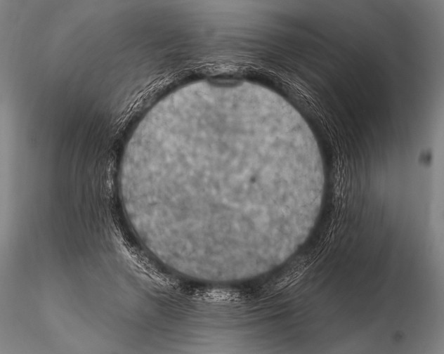 X0000115410546200912011343