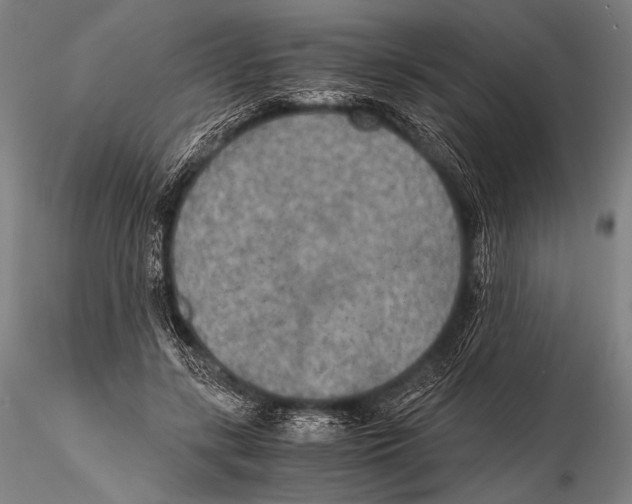 X0000115410547200912011343