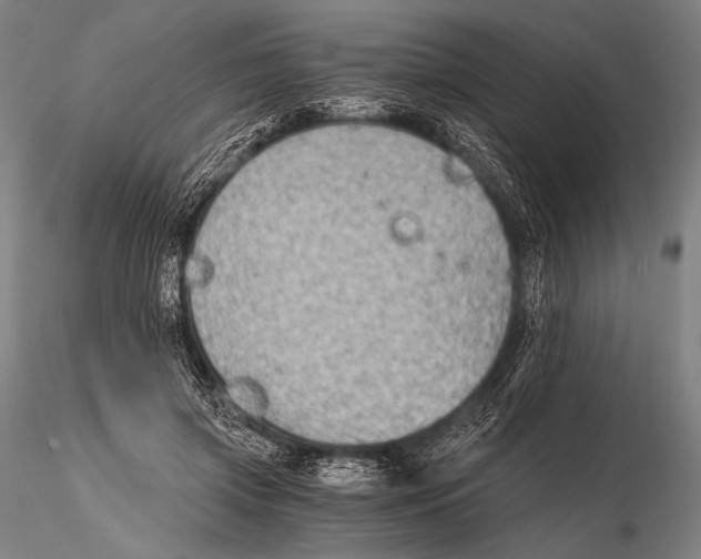 X0000115410549200912011343