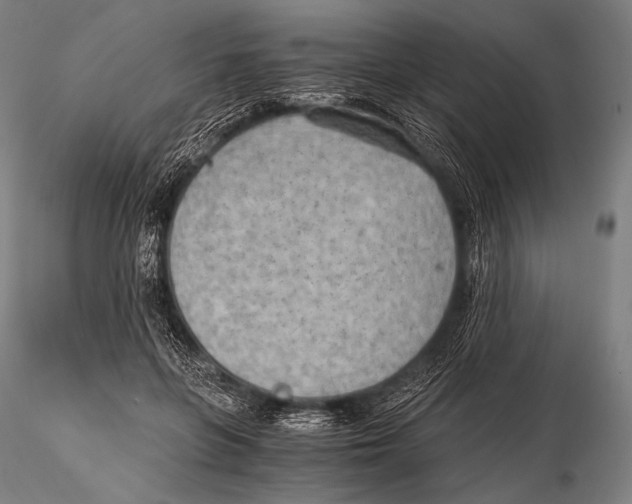 X0000115410551200912011343