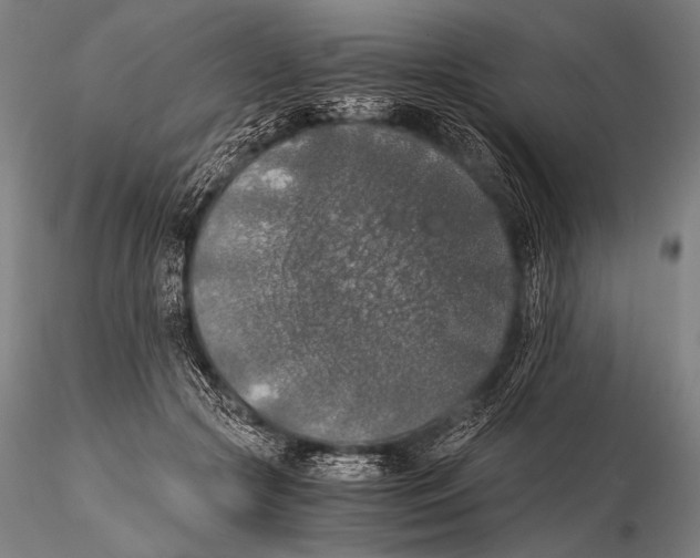 X0000115410553200912011343