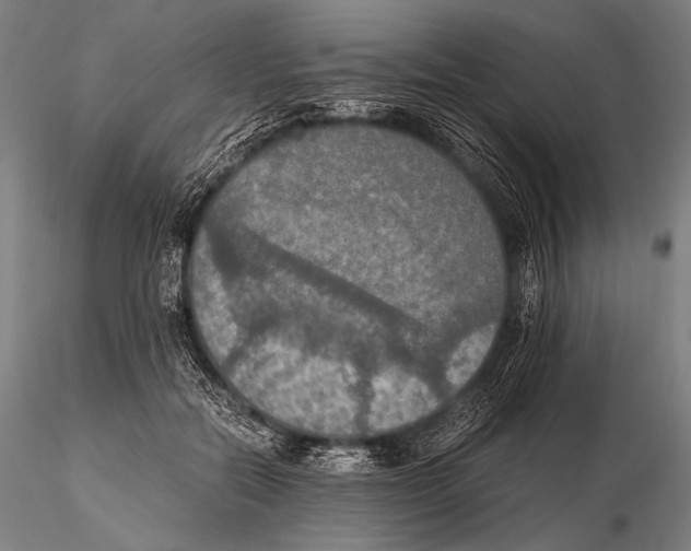 X0000115410554200912011343