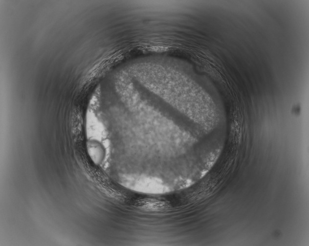 X0000115410555200912011343