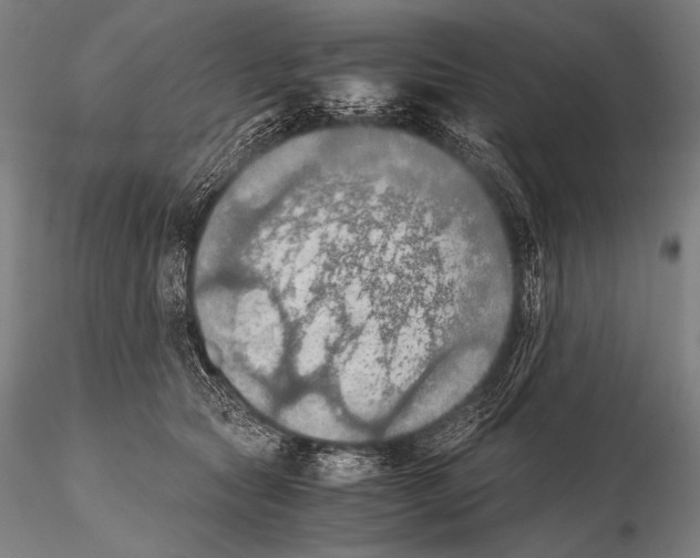 X0000115410561200912011343