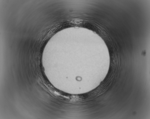 X0000115410562200912011343