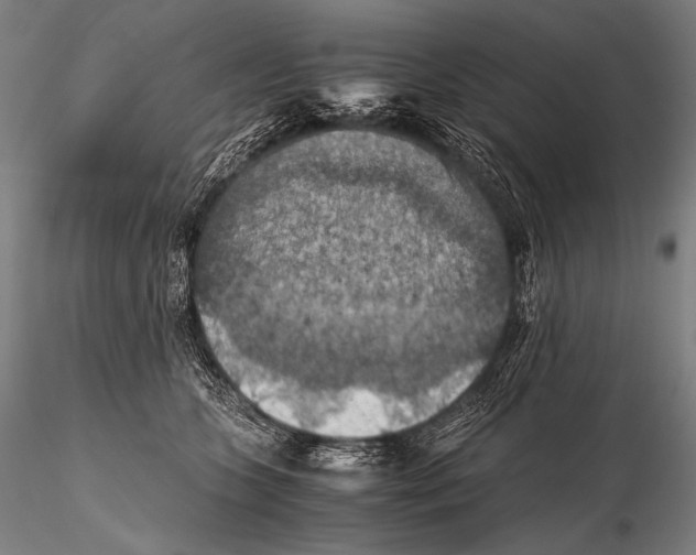 X0000115410563200912011343