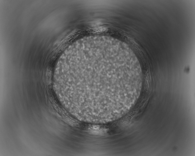 X0000115410565200912011343