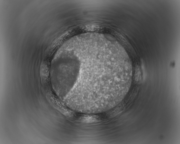 X0000115410569200912011343