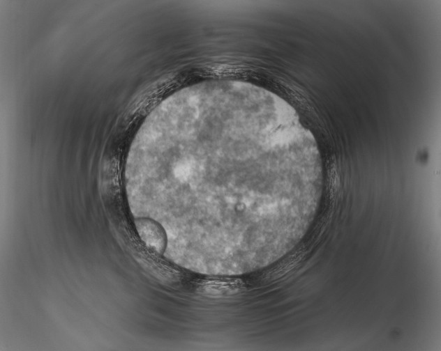 X0000115410571200912011343