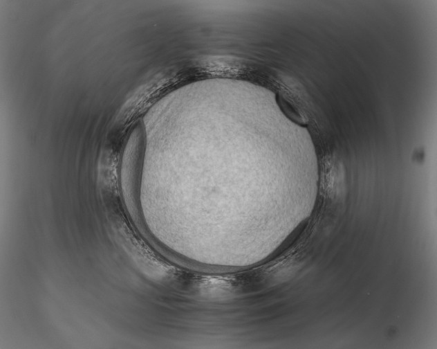 X0000115410573200912011343