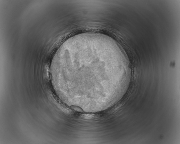 X0000115410575200912011343