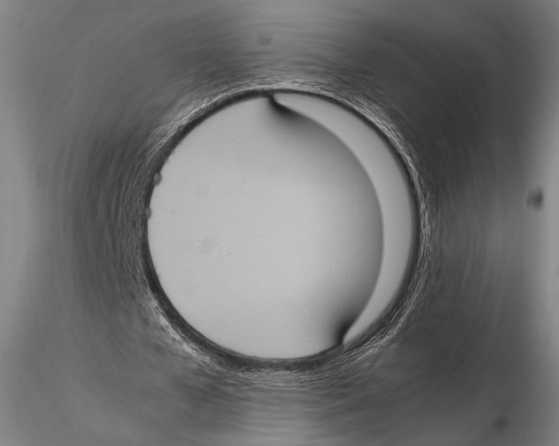 X0000115410577200912011342