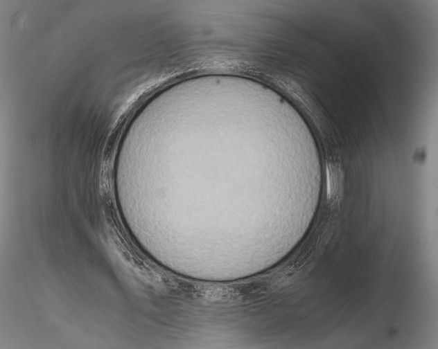 X0000115410579200912011342