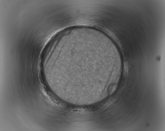 X0000115410580200912011342