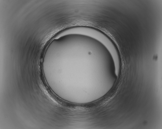 X0000115410581200912011342