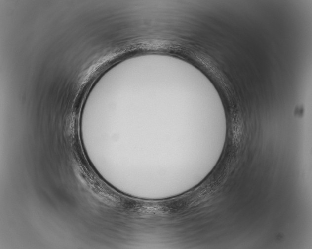 X0000115410583200912011342