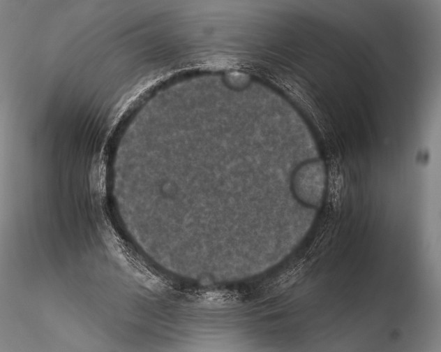 X0000115410584200912011342