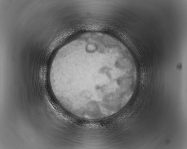 X0000115410586200912011342