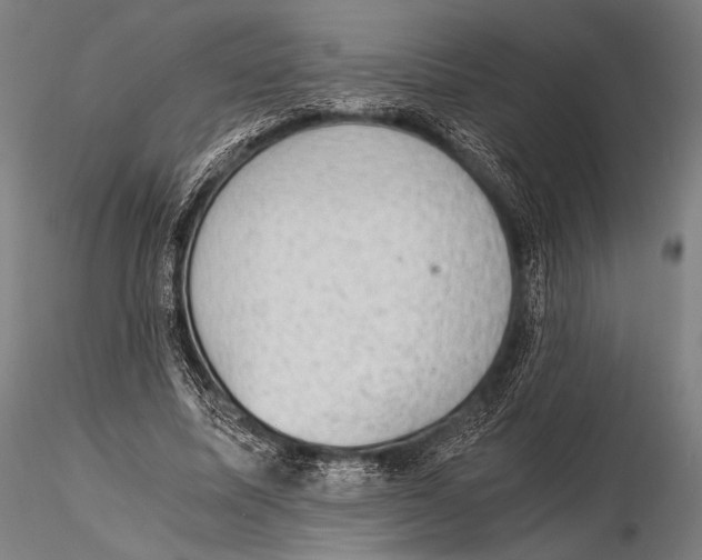 X0000115410587200912011342