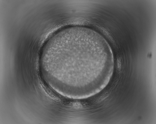 X0000115410588200912011342