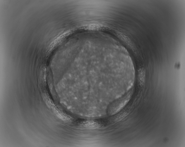 X0000115410589200912011342