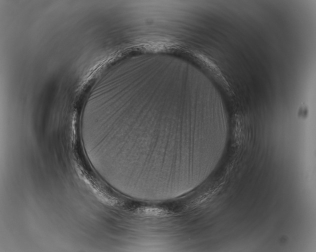 X0000115410590200912011342