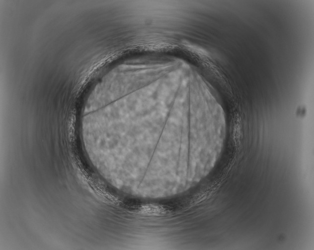 X0000115410591200912011342