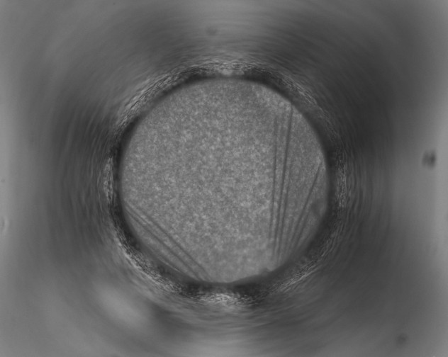 X0000115410594200912011342