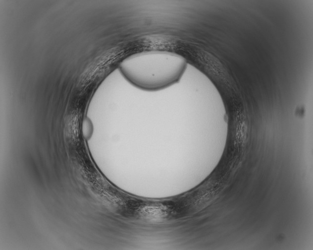 X0000115410595200912011342