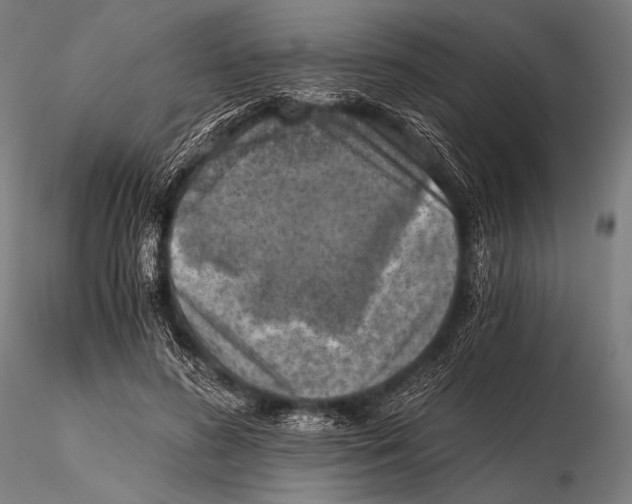 X0000115410596200912011342