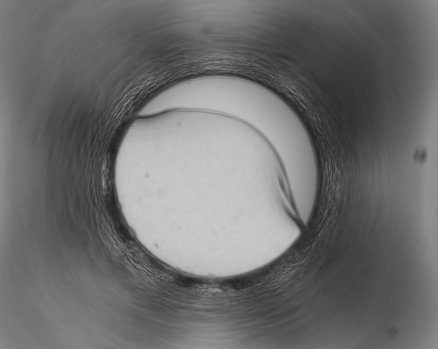 X0000115410597200912011342