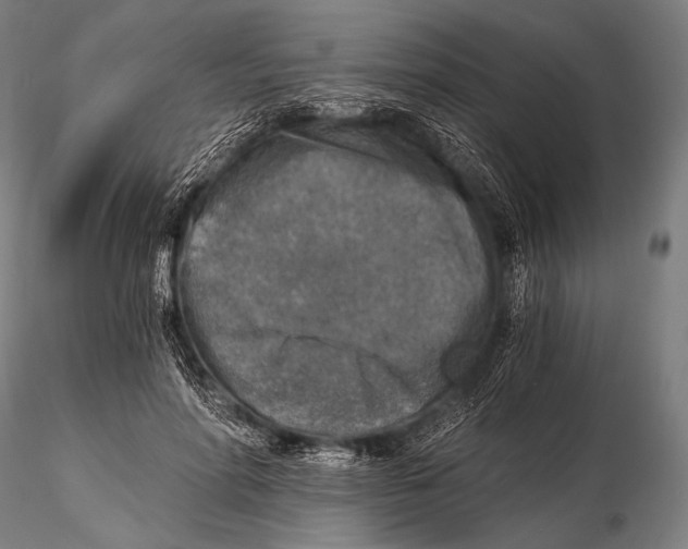 X0000115410598200912011342